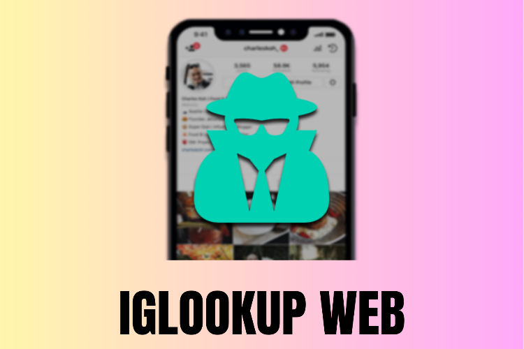 IGlookup web